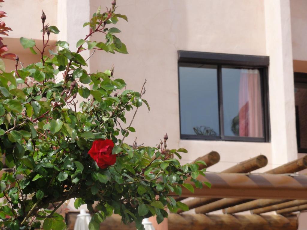 Hotel L'Hacienda Martigues Εξωτερικό φωτογραφία